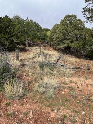 RUPP HILL RD, HIGH ROLLS MOUNTAIN PARK, NM 88325 - Image c7a67d4f47b96cd9b7b729c4566e3bbb/1786855819