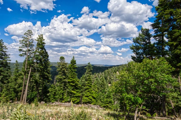 33 CLEAR SKY RD, CLOUDCROFT, NM 88317 - Image e20d97bda841da5f2b89f68f9dfbd572/1821804720