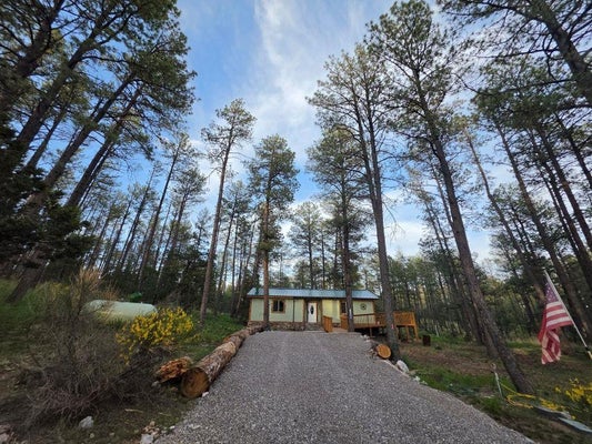 16 PAWHUSKA DR, TIMBERON, NM 88350 - Image ec003660e3dbd62891e753e1dded151c/2031576426