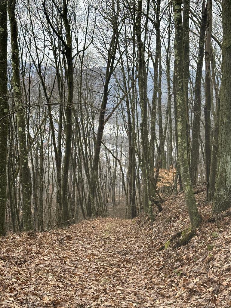 N/a Point Hill, Franklin, Pennsylvania image 1