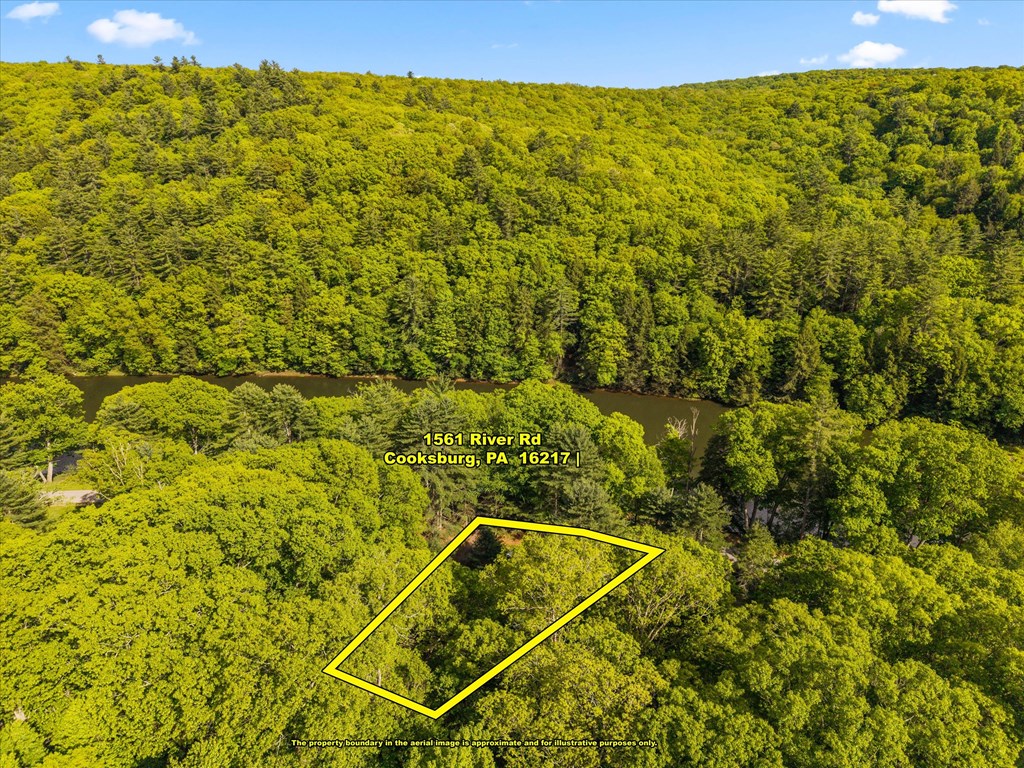 1561 River Road, Cooksburg, Pennsylvania image 36