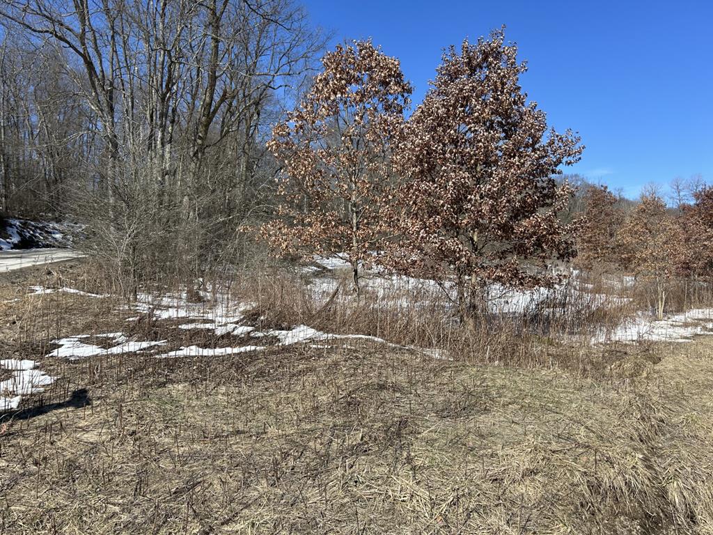20.5-17A Ridgeview Road, Titusville, Pennsylvania image 1
