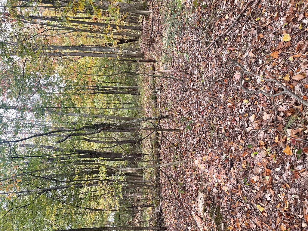 00 Penn Road, Jamestown, Pennsylvania image 5