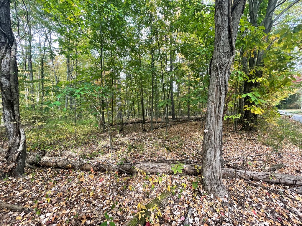 00 Penn Road, Jamestown, Pennsylvania image 2