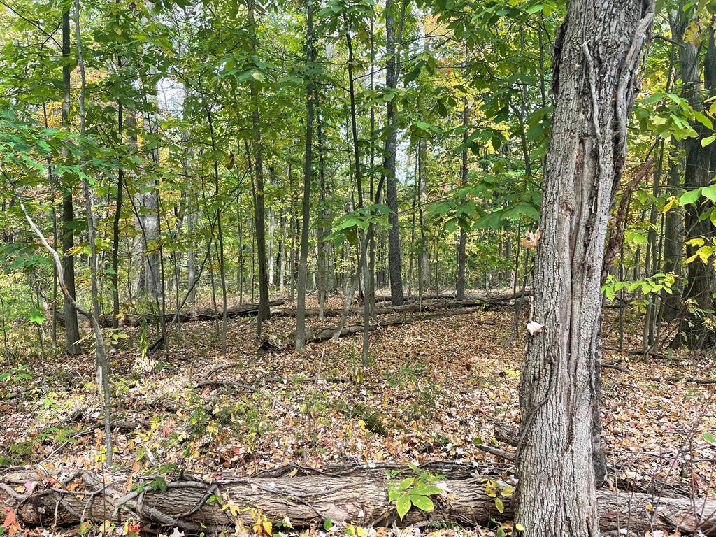 00 Penn Road, Jamestown, Pennsylvania image 1