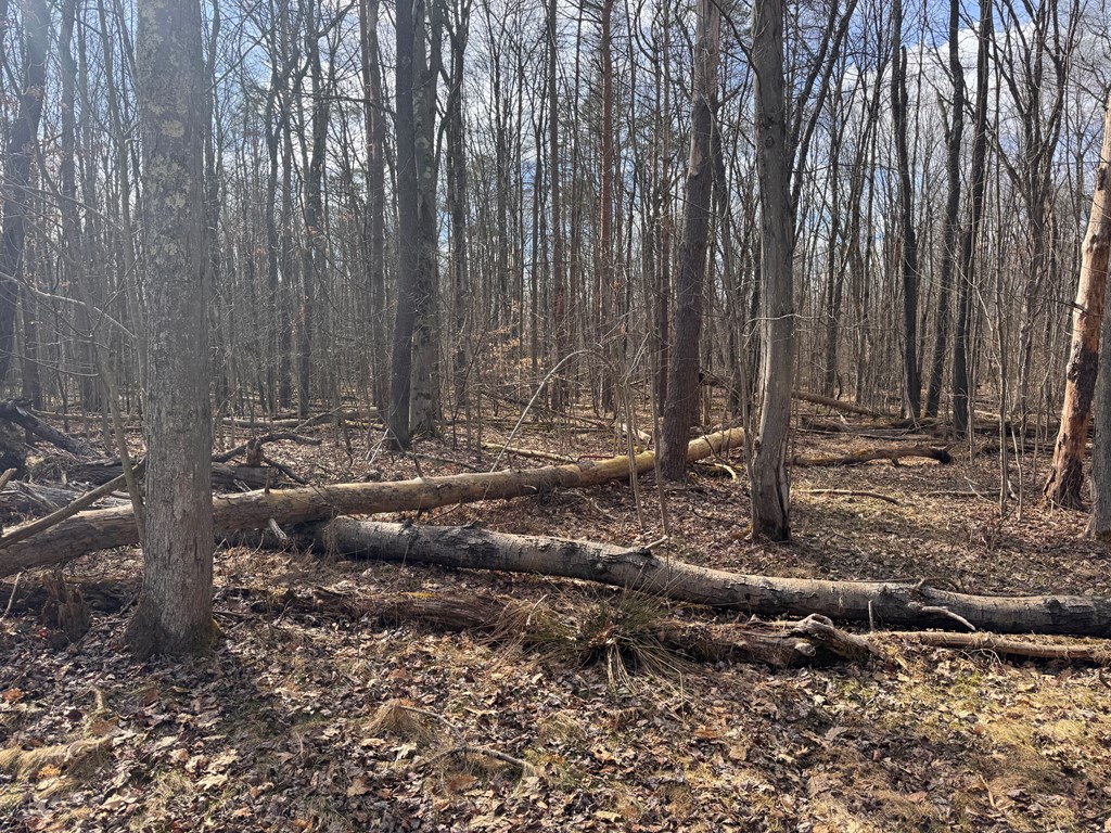 1593 Dempseytown Greshem Rd, Titusville, Pennsylvania image 3