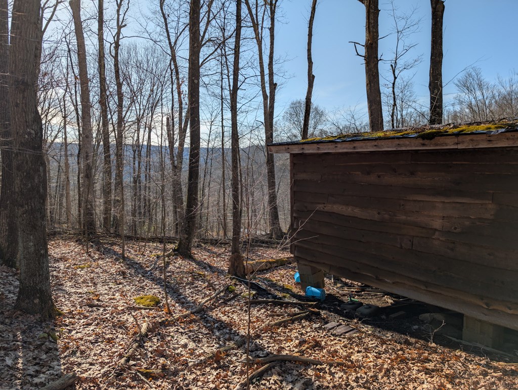 306 German Hill Rd, Tionesta, Pennsylvania image 7