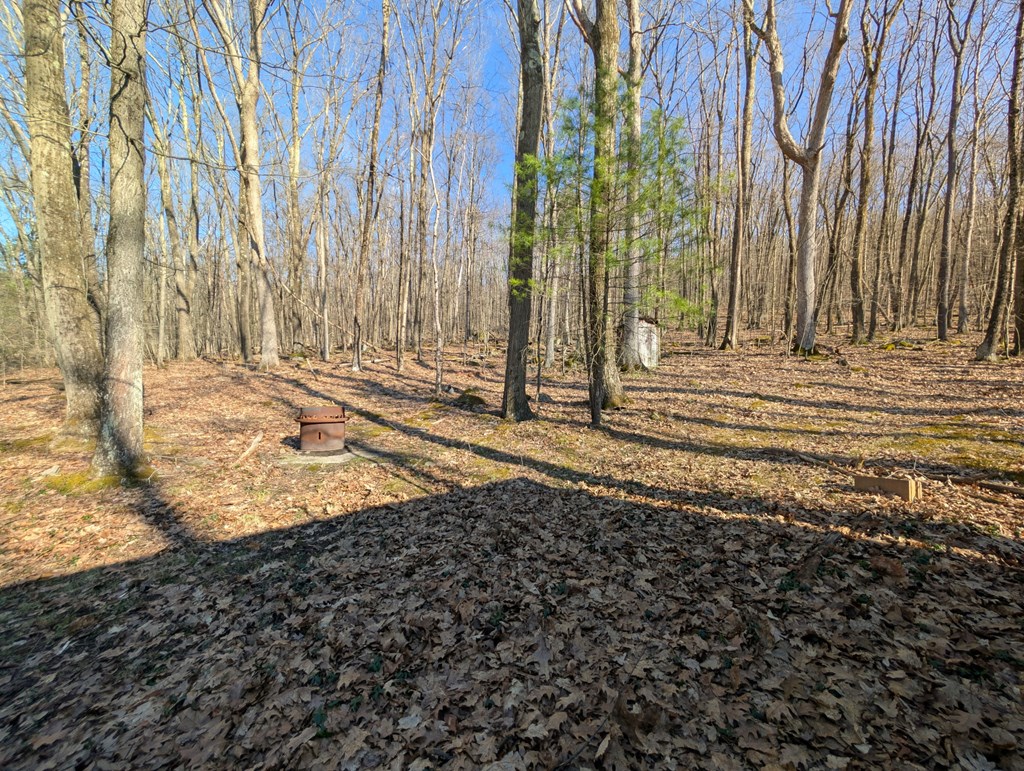 306 German Hill Rd, Tionesta, Pennsylvania image 10