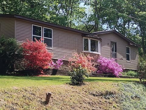 Homes For Sale - 1243 Trout Run Rd<br/> Titusville, PA 16354