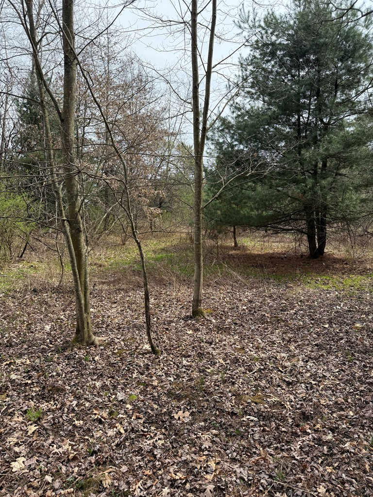 Walker Farm Rd, Rimersburg, Pennsylvania image 3