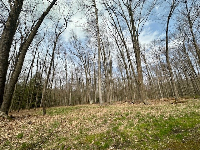 Stromeyers Road, Knox, Pennsylvania image 2