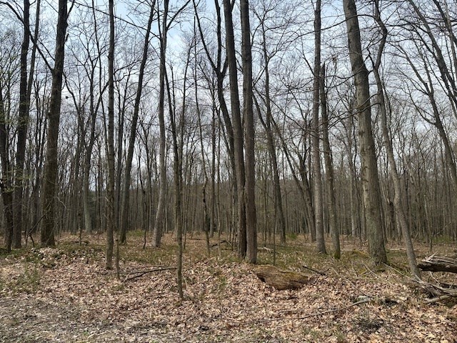 Stromeyers Road, Knox, Pennsylvania image 5