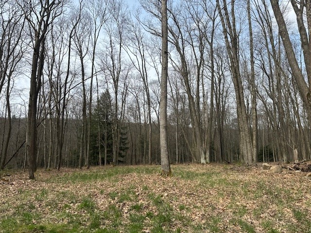 Stromeyers Road, Knox, Pennsylvania image 4