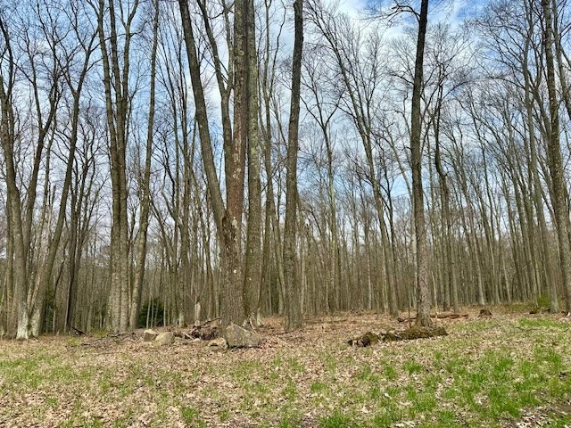 Stromeyers Road, Knox, Pennsylvania image 3