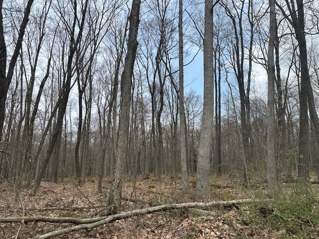 Stromeyers Road, Knox, Pennsylvania image 7