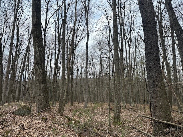 Stromeyers Road, Knox, Pennsylvania image 6