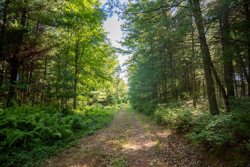 Lot #7B County Line Road, Venus, Pennsylvania image 6