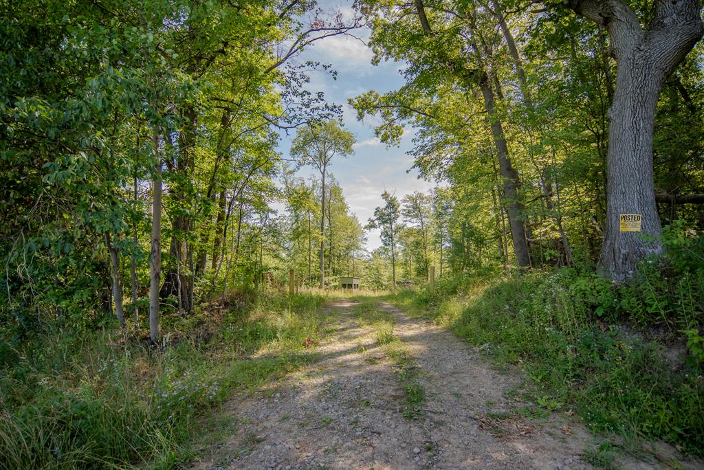 Lot #7B County Line Road, Venus, Pennsylvania image 15