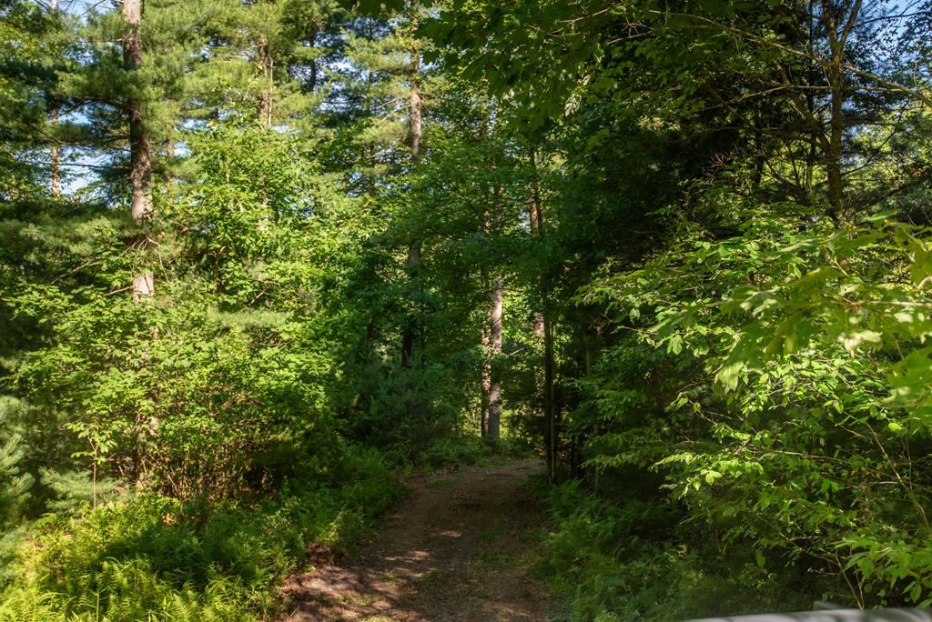 Lot #7B County Line Road, Venus, Pennsylvania image 16