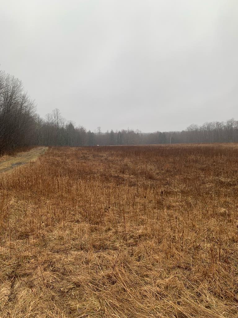 00 Oil Creek Road, Grand Valley MLS 157622 Berkshire Hathaway