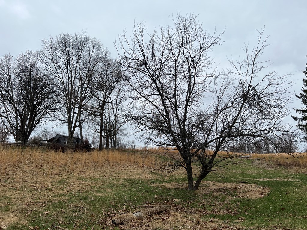 590 Rimer Hill Road, Templeton, Pennsylvania image 10