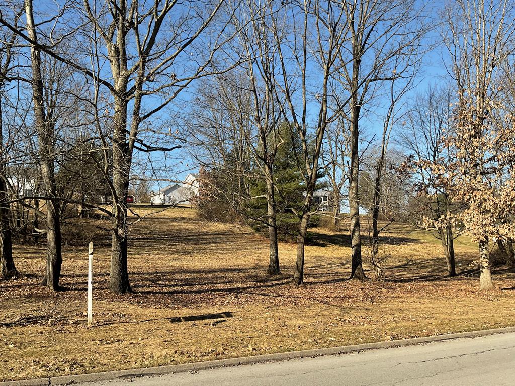 Lots11-12 E Gemmell Drive, Clarion, Pennsylvania image 7