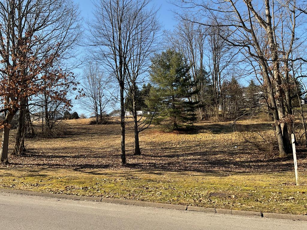 Lots11-12 E Gemmell Drive, Clarion, Pennsylvania image 2