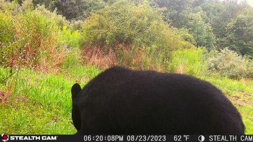 Lot #3 County Line Road, Venus, Pennsylvania image 11