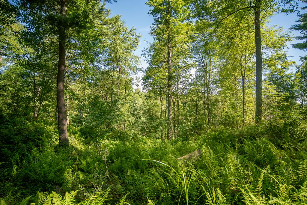 Lot #3 County Line Road, Venus, Pennsylvania image 6