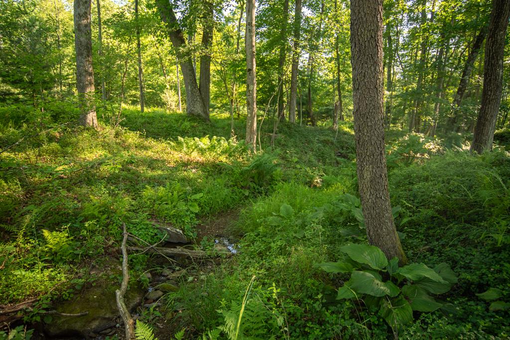 Lot #3 County Line Road, Venus, Pennsylvania image 8