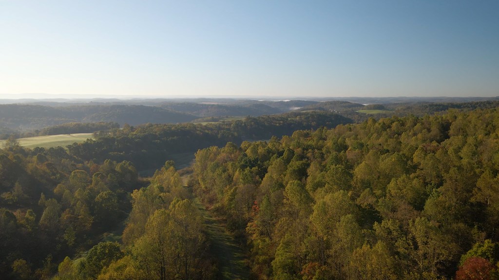 000 Flat Rock Rd, Avonmore, Pennsylvania image 7