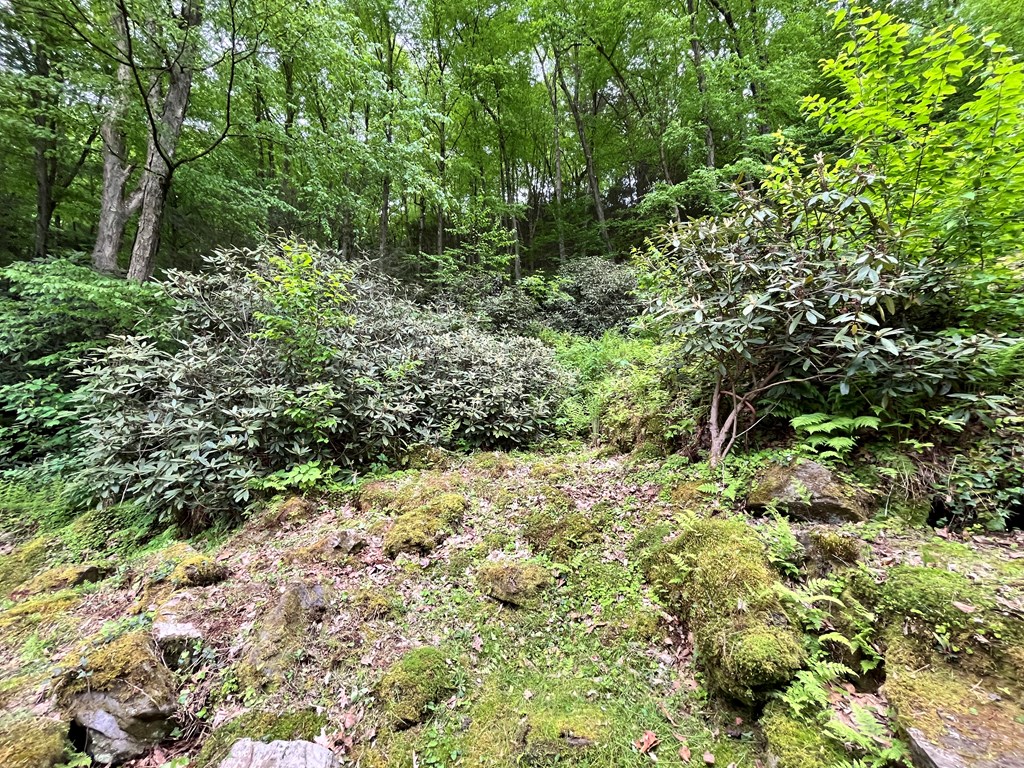 688 North Tunnel Rd, Kennerdell, Pennsylvania image 33