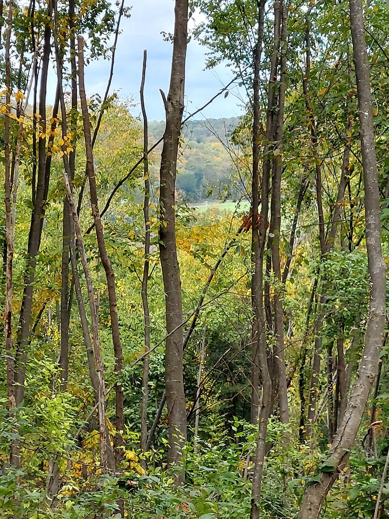 Valley Road, Polk, Pennsylvania image 7