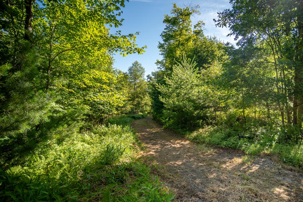 Lot 4 & 5 County Line Road, Venus, Pennsylvania image 18