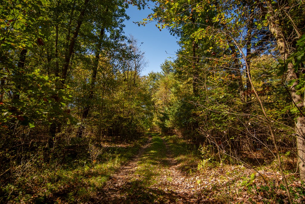 County Line Road, Venus, Pennsylvania image 4