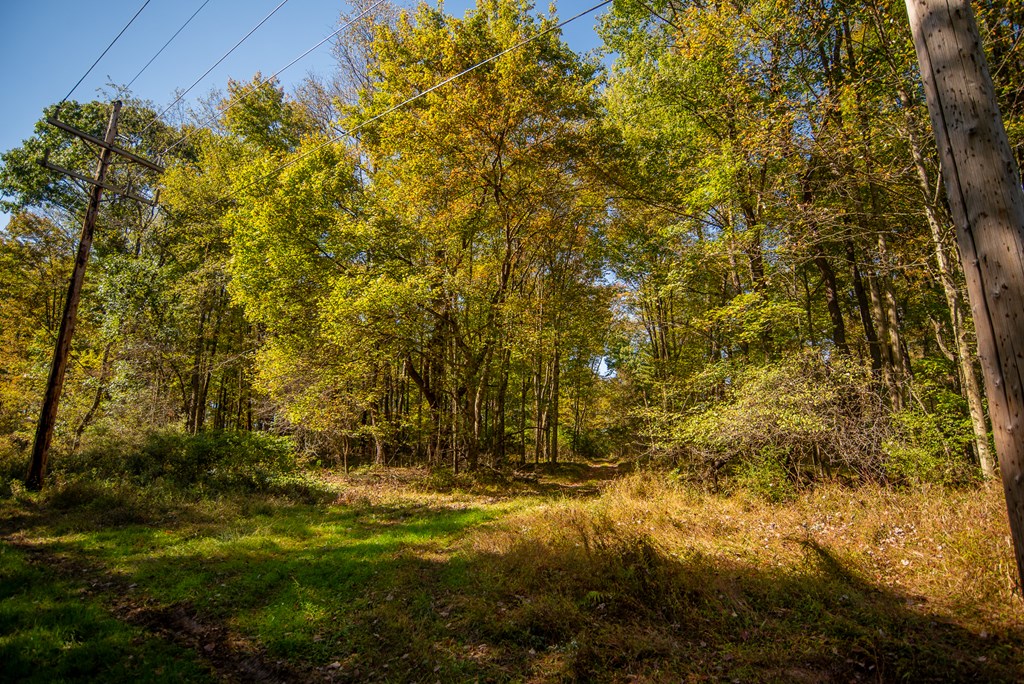 County Line Road, Venus, Pennsylvania image 19