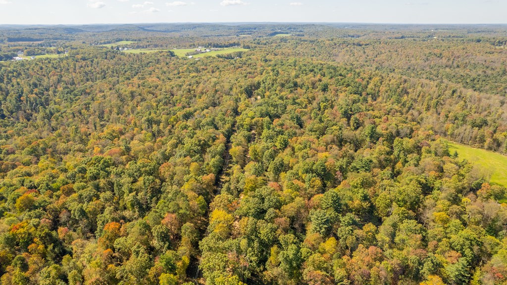 County Line Road, Venus, Pennsylvania image 27