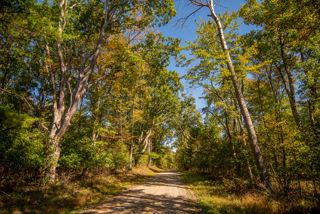 County Line Road, Venus, Pennsylvania image 7