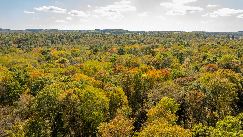 County Line Road, Venus, Pennsylvania image 13