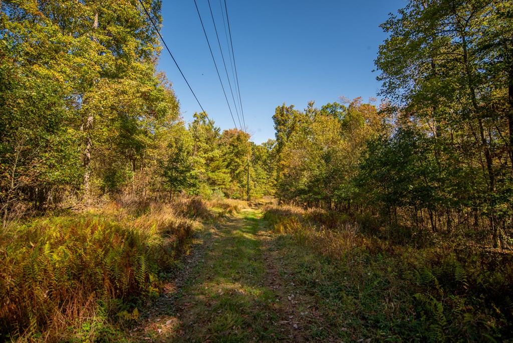 County Line Road, Venus, Pennsylvania image 17