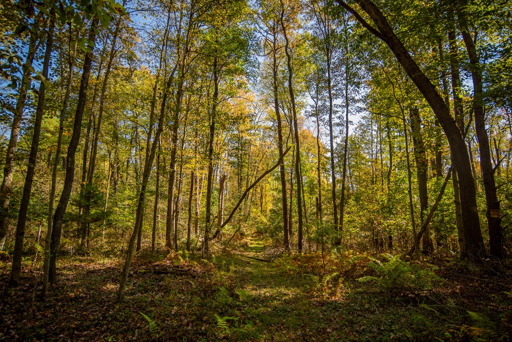 County Line Road, Venus, Pennsylvania image 18