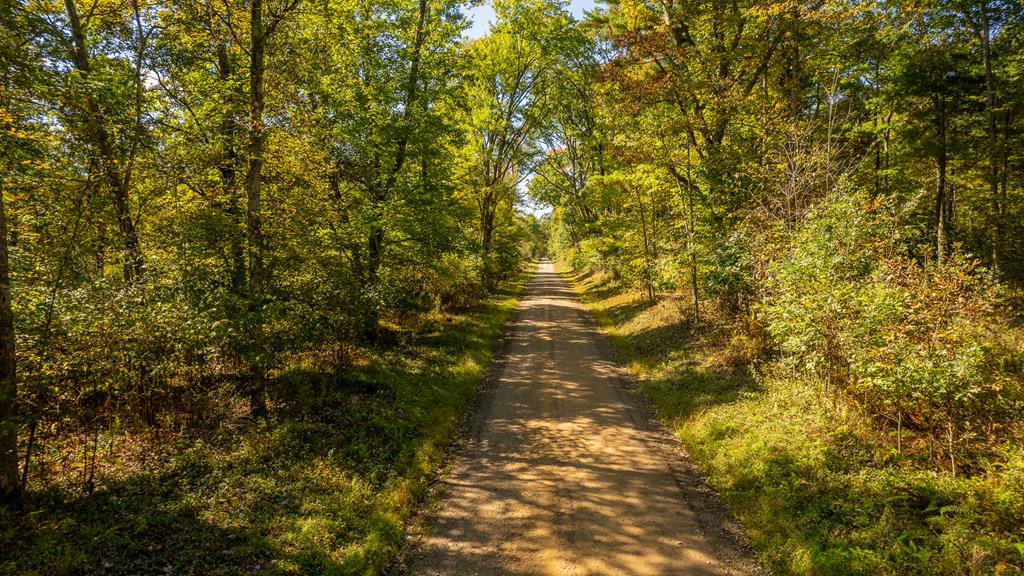 County Line Road, Venus, Pennsylvania image 1