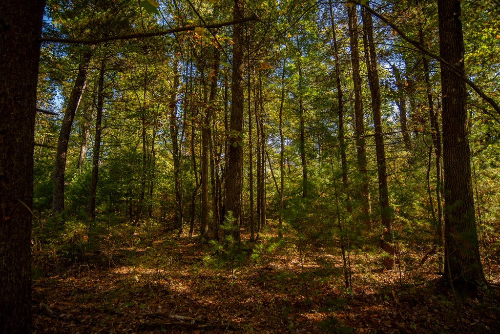 County Line Road, Venus, Pennsylvania image 9