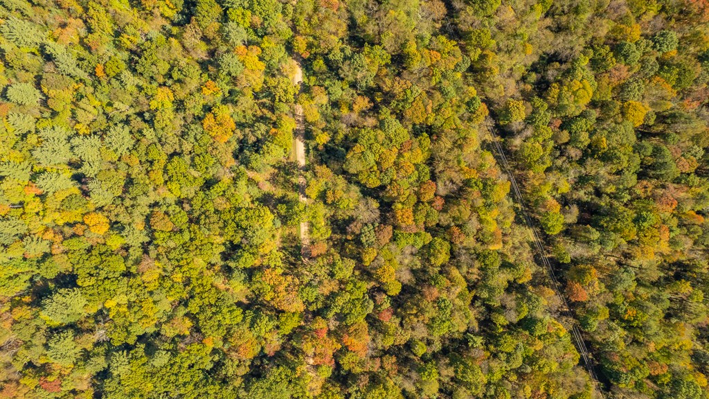 County Line Road, Venus, Pennsylvania image 30