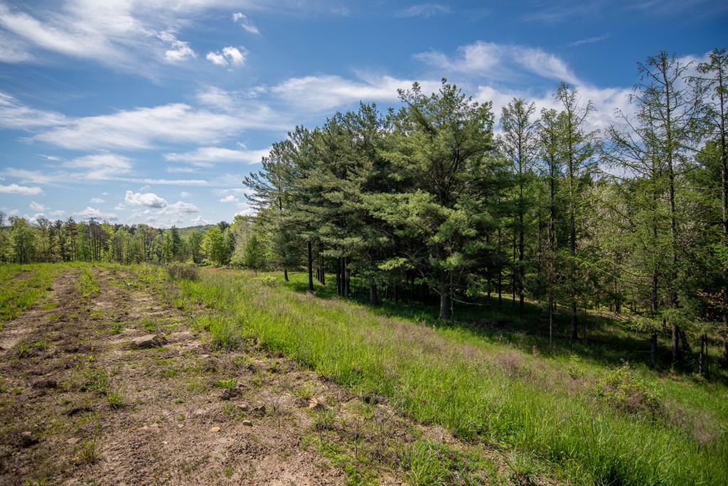 Stacey Rd, Parker, Pennsylvania image 36
