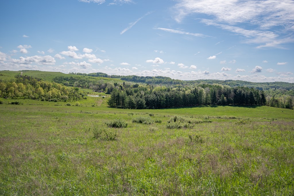 Stacey Rd, Parker, Pennsylvania image 50
