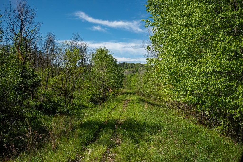 Stacey Rd, Parker, Pennsylvania image 17