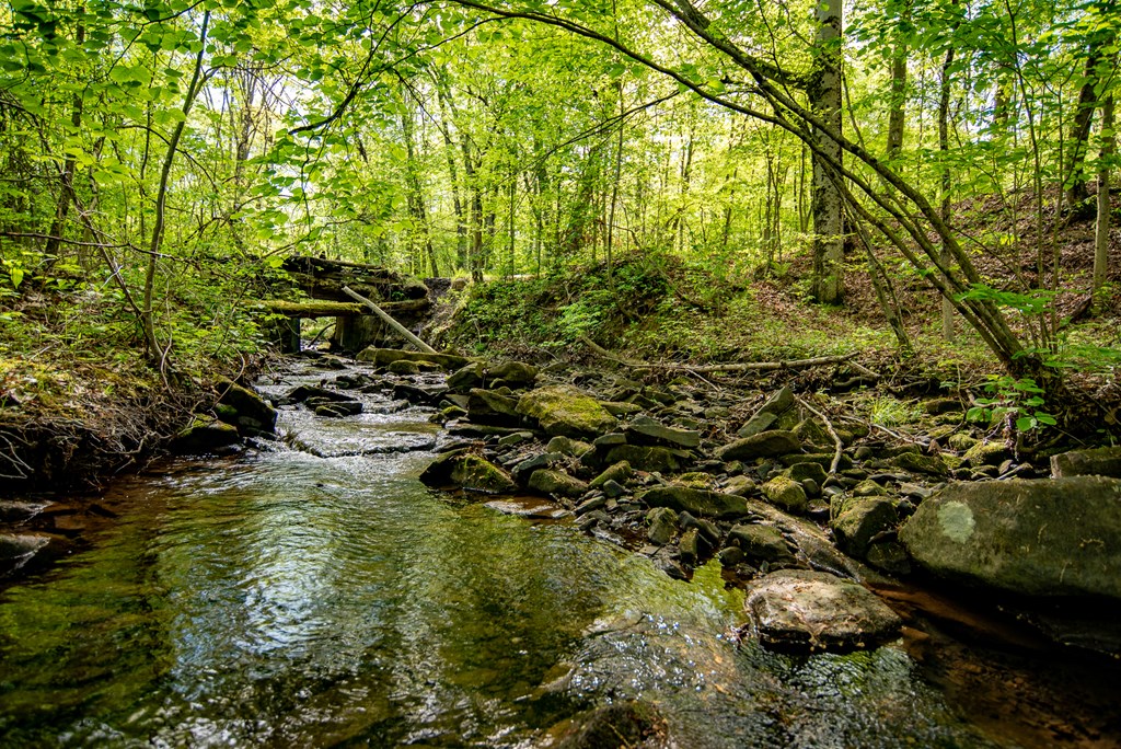 Stacey Rd, Parker, Pennsylvania image 32