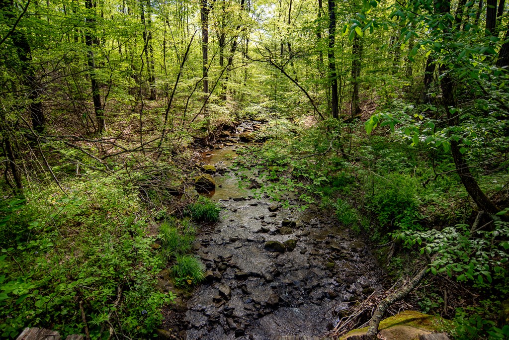 Stacey Rd, Parker, Pennsylvania image 14