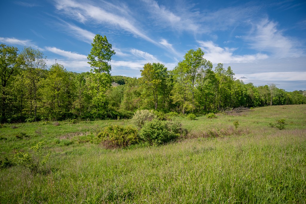 Stacey Rd, Parker, Pennsylvania image 24